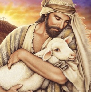Jesus Sheep